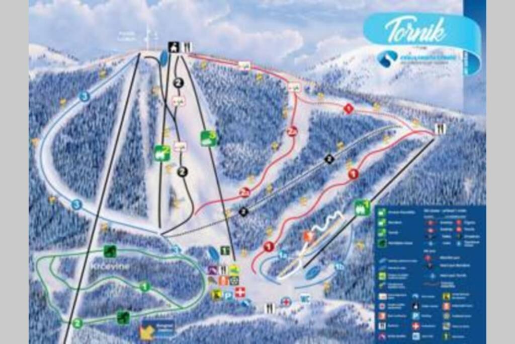 Ski House Tornik Zlatibor Kültér fotó